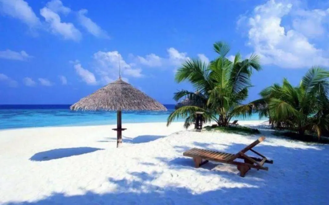 Caribbean Oasis Daire Playa del Carmen Meksika