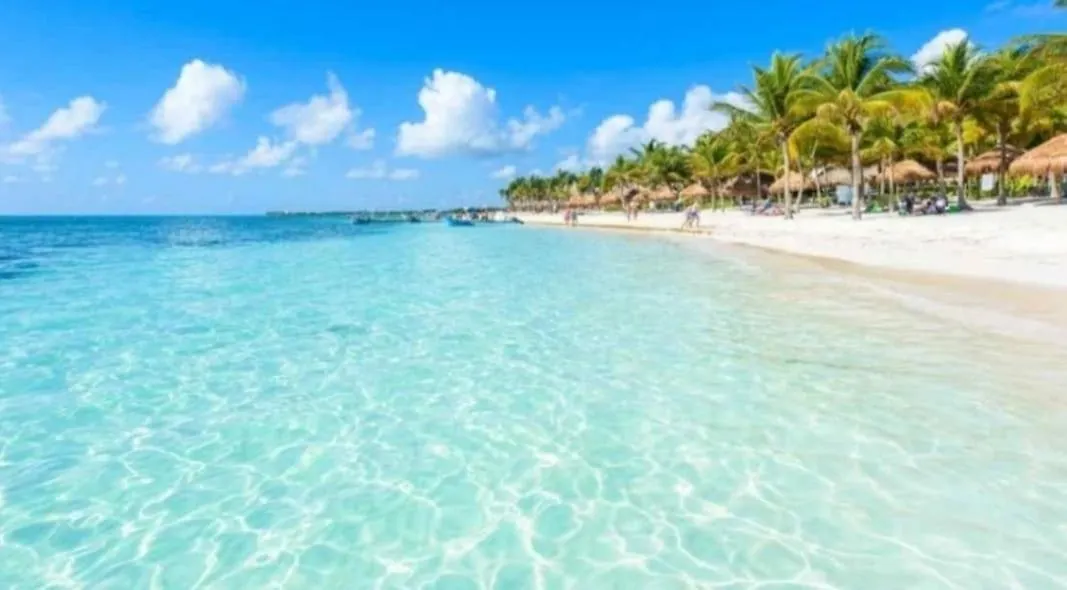 Caribbean Oasis Apartment Playa del Carmen 0*,
